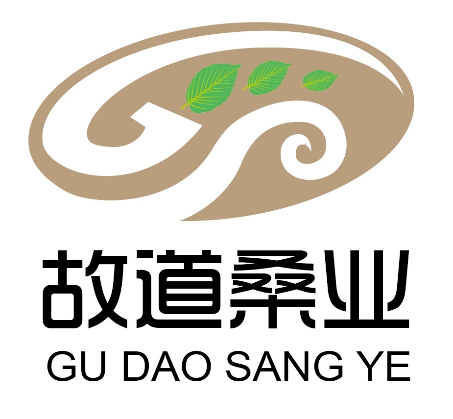 喝茶就可以防脫生發(fā)，太神奇了！桑葉養(yǎng)生茶