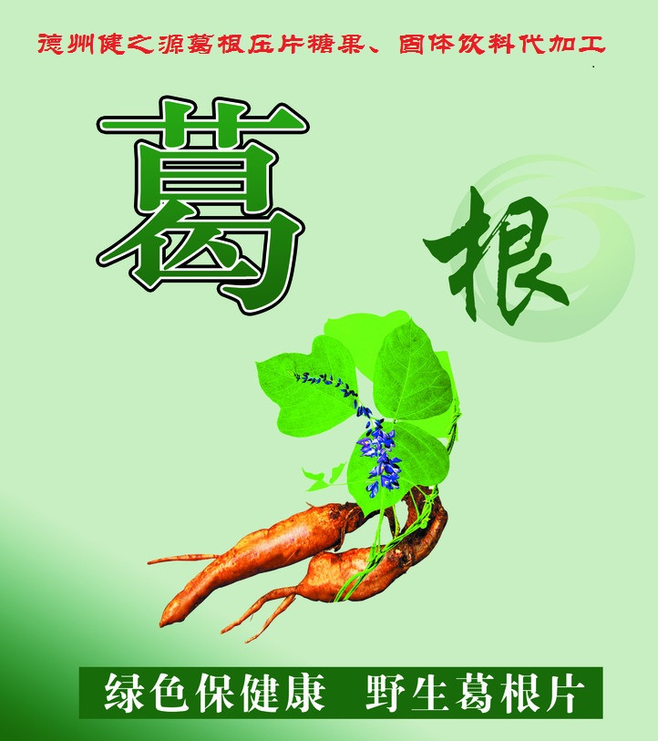 葛根，男女通用的人體調(diào)理專家