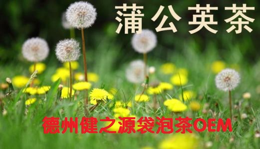 蒲公英茶，今天您喝了嗎？